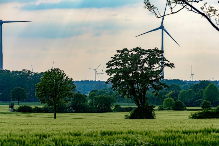 Exploring Sustainable Technology Products for Eco-Conscious Consumers